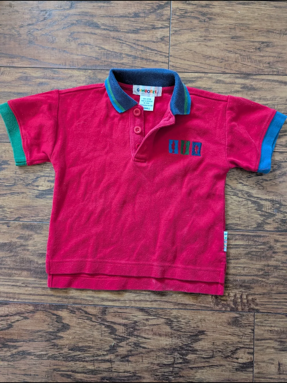 $ Vintage Rainbow Tag Gymboree‎ Camping Embroidered Polo